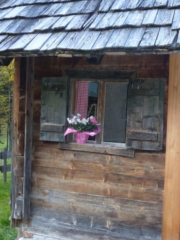 Bio-Urlaubshof Dansbach Villa Spital Am Pyhrn Luaran gambar